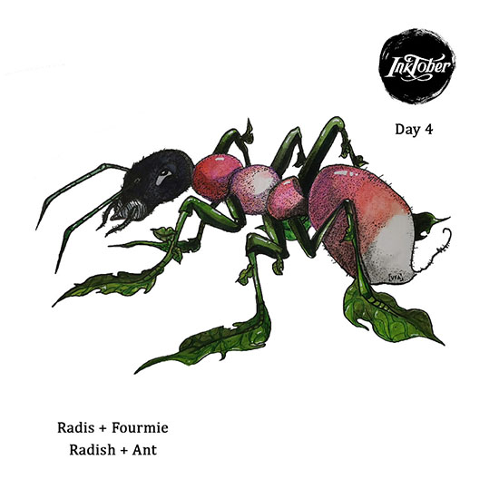 aquarelle d’une fourmi transformée en radis rose et blanc.