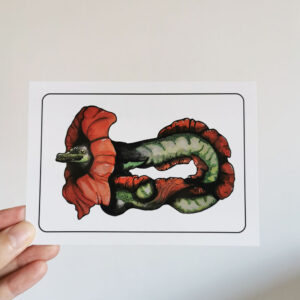 L'Anguille Coquelicot