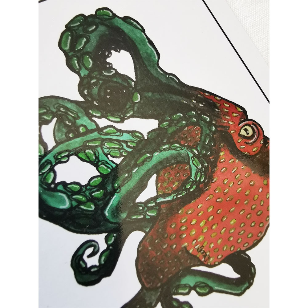 L'Octopus Fraise – Image 4